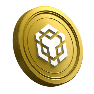 Halaman panduan trader baru yang menampilkan koin cryptocurrency Binance BNB
